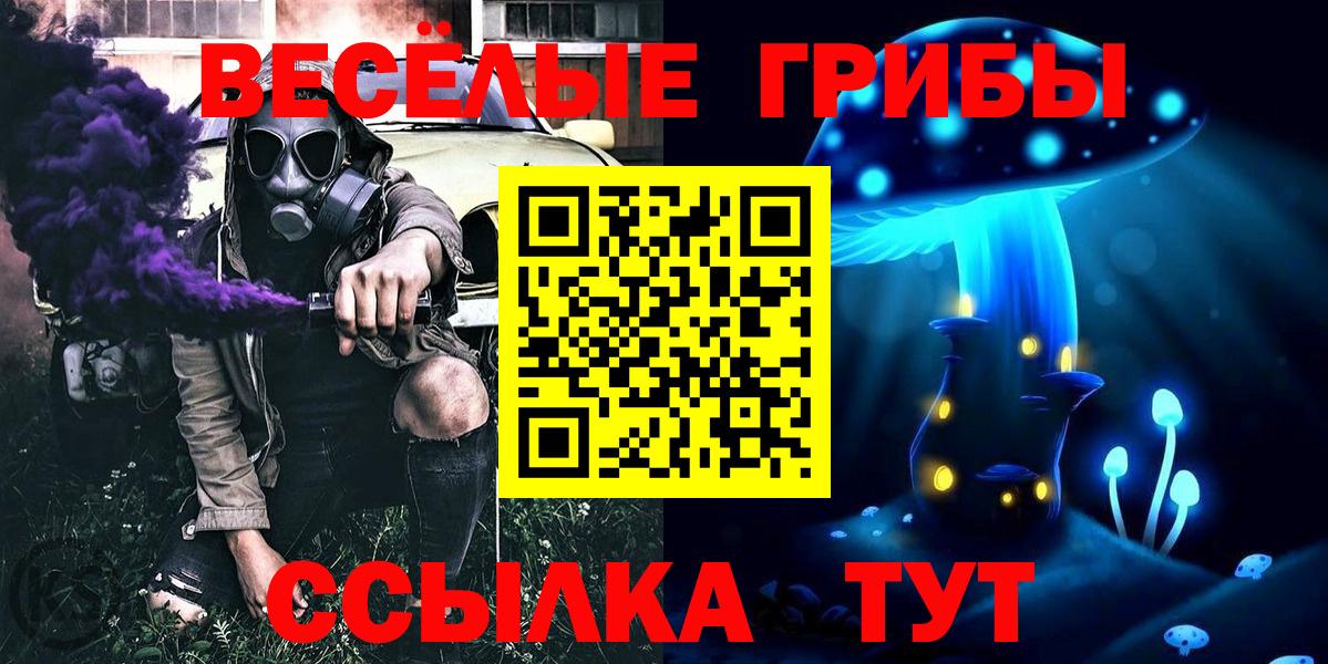 Псилоцибиновые грибы Psilocybine cubensis  Вход с VPN  купить  сайты  Чайковский 